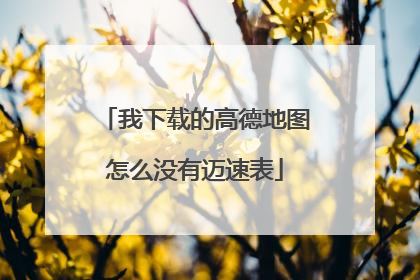 我下载的高德地图怎么没有迈速表