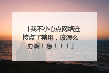 我不小心点网络连接点了禁用,该怎么办啊!急!!!