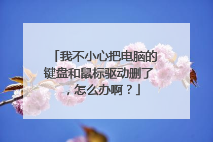 我不小心把电脑的键盘和鼠标驱动删了，怎么办啊？