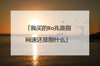 我买的8o兆是指网速还是指什么