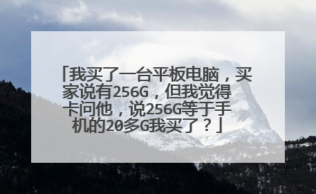 我买了一台平板电脑,买家说有256G,但我觉得卡问他,说256G等于手机的20多G我买了?