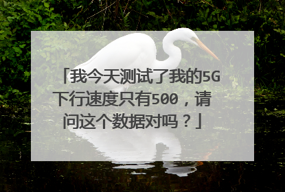 我今天测试了我的5G下行速度只有500，请问这个数据对吗？