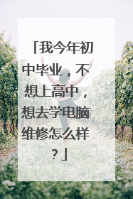 我今年初中毕业,不想上高中,想去学电脑维修怎么样?