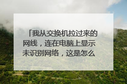 我从交换机拉过来的网线,连在电脑上显示未识别网络,这是怎么回事?大神快来