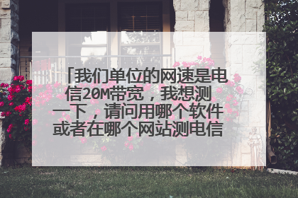 我们单位的网速是电信20M带宽，我想测一下，请问用哪个软件或者在哪个网站测电信网速比较准？