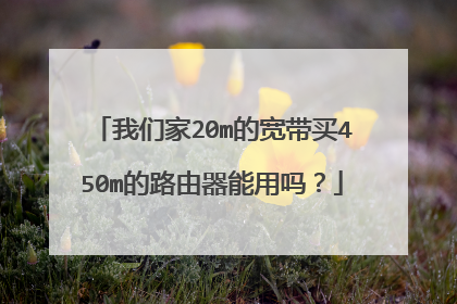 我们家20m的宽带买450m的路由器能用吗?