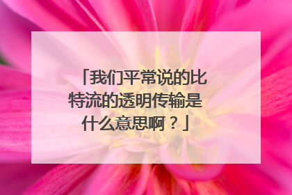 我们平常说的比特流的透明传输是什么意思啊?