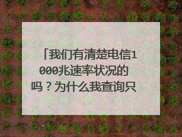 我们有清楚电信1000兆速率状况的吗?为什么我查询只要200兆的?