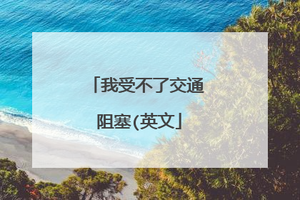 我受不了交通阻塞(英文