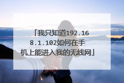 我只知道192.168.1.102如何在手机上能进入我的无线网