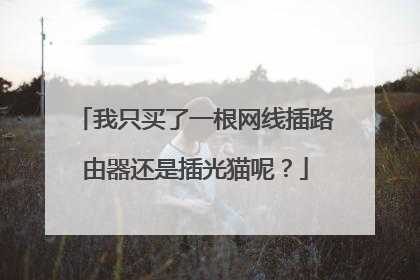 我只买了一根网线插路由器还是插光猫呢?