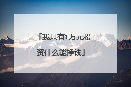 我只有1万元投资什么能挣钱