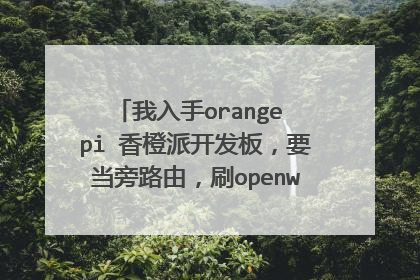 我入手orange pi 香橙派开发板，要当旁路由，刷openwrt镜像后，要怎么设置？型号是R1