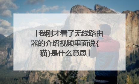 我刚才看了无线路由器的介绍视频里面说{猫}是什么意思