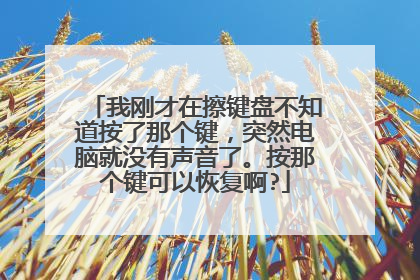 我刚才在擦键盘不知道按了那个键，突然电脑就没有声音了。按那个键可以恢复啊?