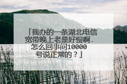 我办的一条湖北电信宽带晚上老是好慢啊.怎么回事问10000号说正常的?