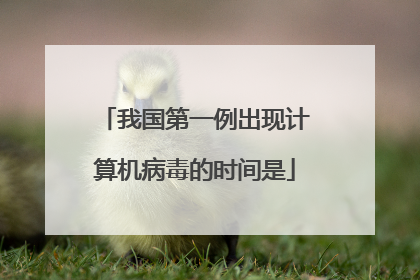 我国第一例出现计算机病毒的时间是