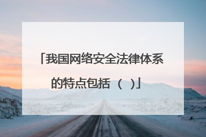 我国网络安全法律体系的特点包括 ( )