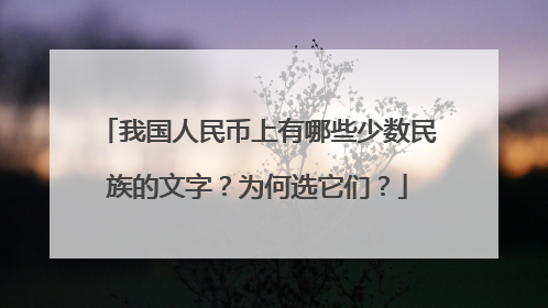 我国人民币上有哪些少数民族的文字？为何选它们？