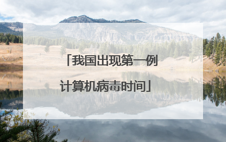 我国出现第一例计算机病毒时间
