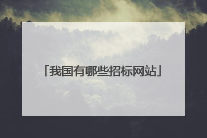 我国有哪些招标网站