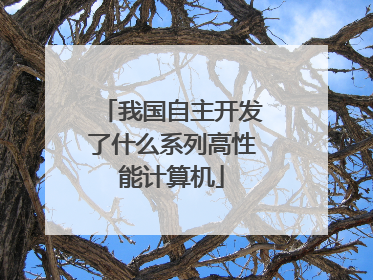 我国自主开发了什么系列高性能计算机