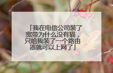 我在电信公司装了宽带为什么没有猫,只给我装了一个路由器就可以上网了