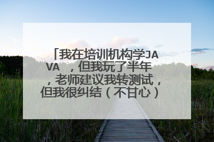 我在培训机构学JAVA ,但我玩了半年,老师建议我转测试,但我很纠结(不甘心)、我该肿么办!IT大神求助!