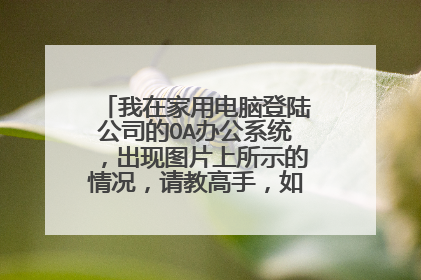 我在家用电脑登陆公司的OA办公系统,出现图片上所示的情况,请教高手,如何解决?谢谢。