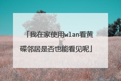 我在家使用wlan看黄碟邻居是否也能看见呢