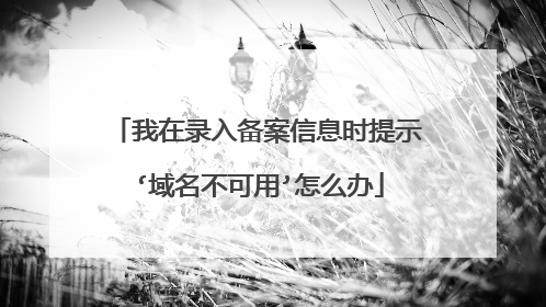 我在录入备案信息时提示‘域名不可用’怎么办