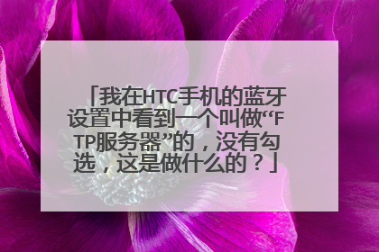 我在HTC手机的蓝牙设置中看到一个叫做“FTP服务器”的，没有勾选，这是做什么的？