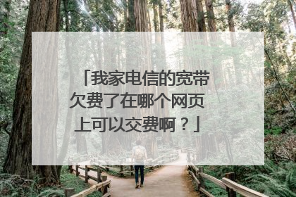 我家电信的宽带欠费了在哪个网页上可以交费啊？