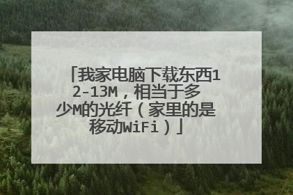 我家电脑下载东西12-13M,相当于多少M的光纤(家里的是移动WiFi)