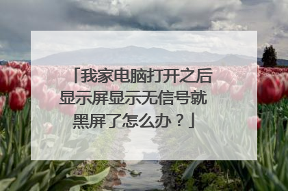 我家电脑打开之后显示屏显示无信号就黑屏了怎么办?