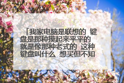 我家电脑是联想的 键盘是那种摸起来平平的 就是像那种老式的 这种键盘叫什么 想买但不知道怎么跟卖家形容