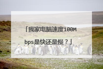我家电脑速度100Mbps是快还是慢?