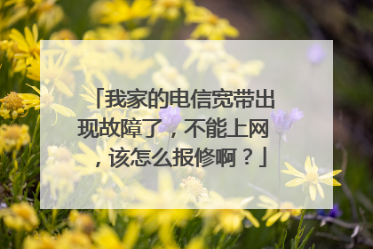 我家的电信宽带出现故障了,不能上网,该怎么报修啊?