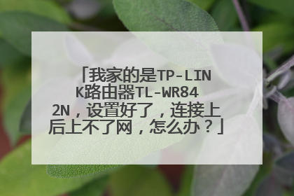我家的是TP-LINK路由器TL-WR842N,设置好了,连接上后上不了网,怎么办?