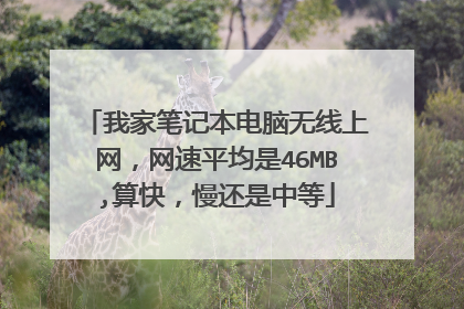 我家笔记本电脑无线上网,网速平均是46MB,算快,慢还是中等