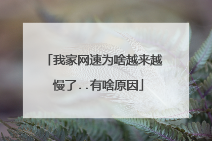 我家网速为啥越来越慢了..有啥原因