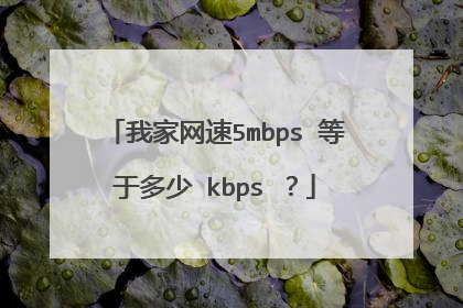 我家网速5mbps 等于多少 kbps ?