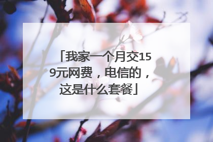我家一个月交159元网费，电信的，这是什么套餐