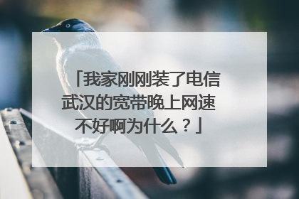 我家刚刚装了电信武汉的宽带晚上网速不好啊为什么？