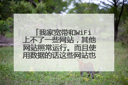 我家宽带和WiFi上不了一些网站，其他网站照常运行。而且使用数据的话这些网站也能运行。怎么办？