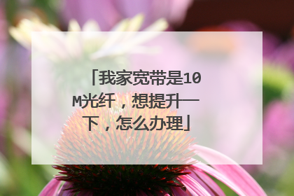 我家宽带是10M光纤,想提升一下,怎么办理