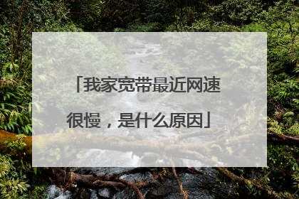 我家宽带最近网速很慢,是什么原因