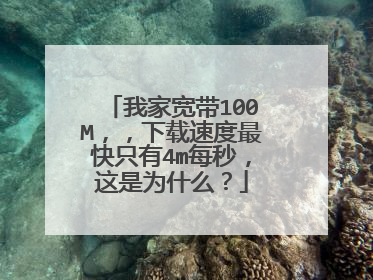 我家宽带100M，，下载速度最快只有4m每秒，这是为什么？