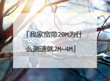 我家宽带20M为什么测速就2M~4M