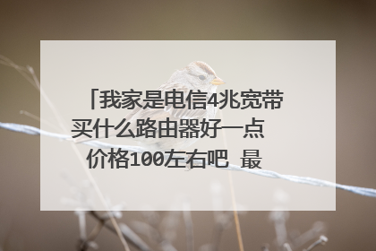 我家是电信4兆宽带买什么路由器好一点 价格100左右吧 最好4个卡槽 无线网